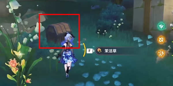 佩特莉可镇区域内的全精致宝箱