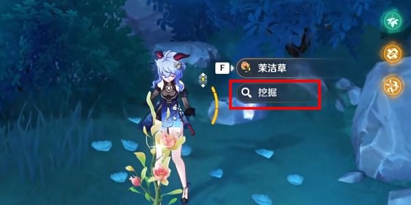 佩特莉可镇区域内的全精致宝箱