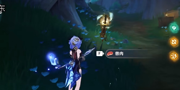 佩特莉可镇区域内的全精致宝箱